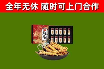 新兴回收冬虫夏草价格
